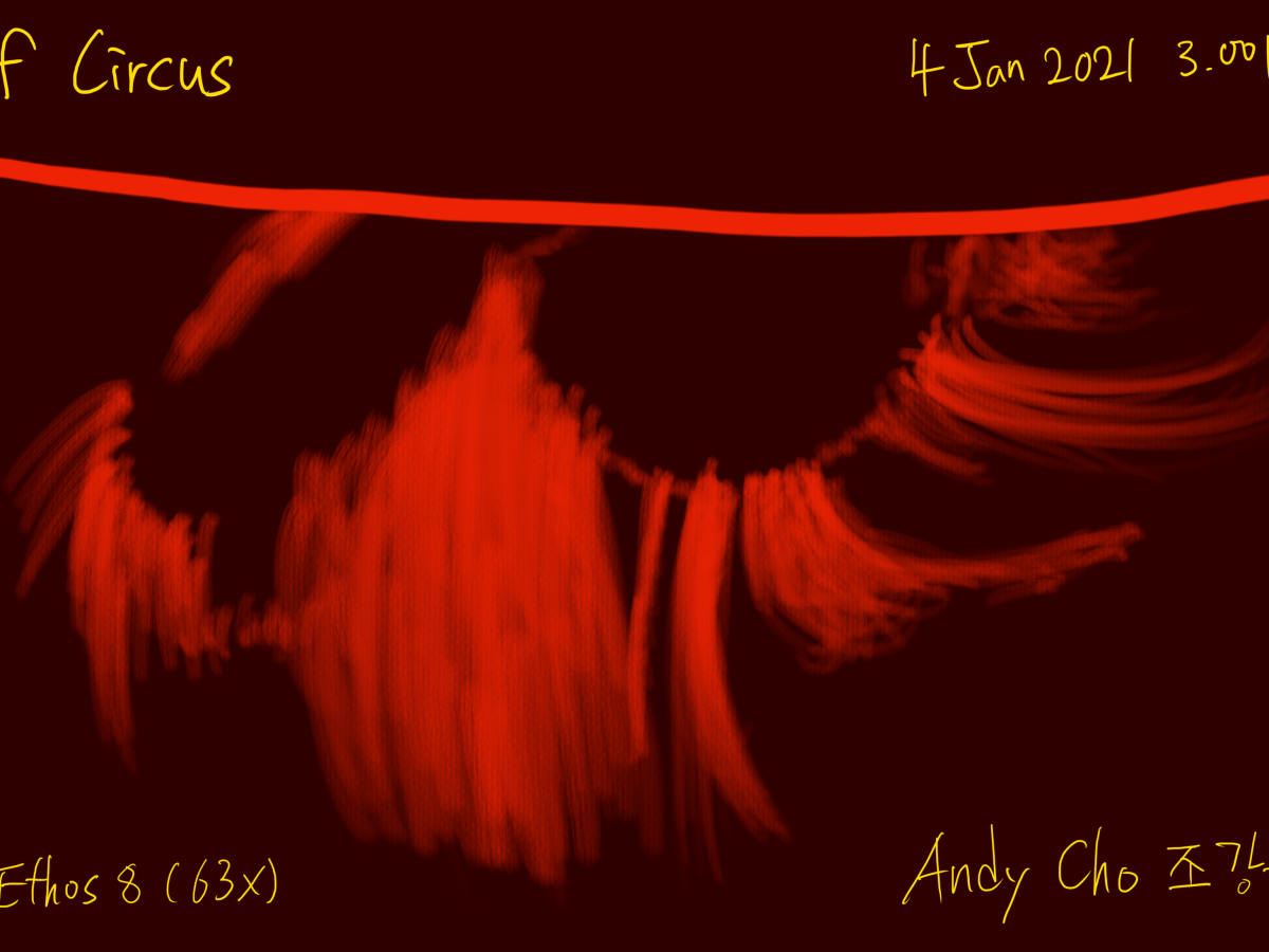 The Art of&nbsp;Circus